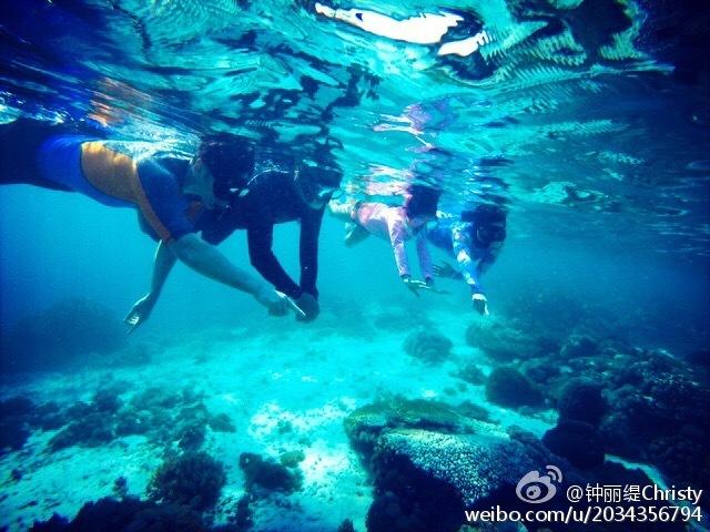 逃出绿色公寓